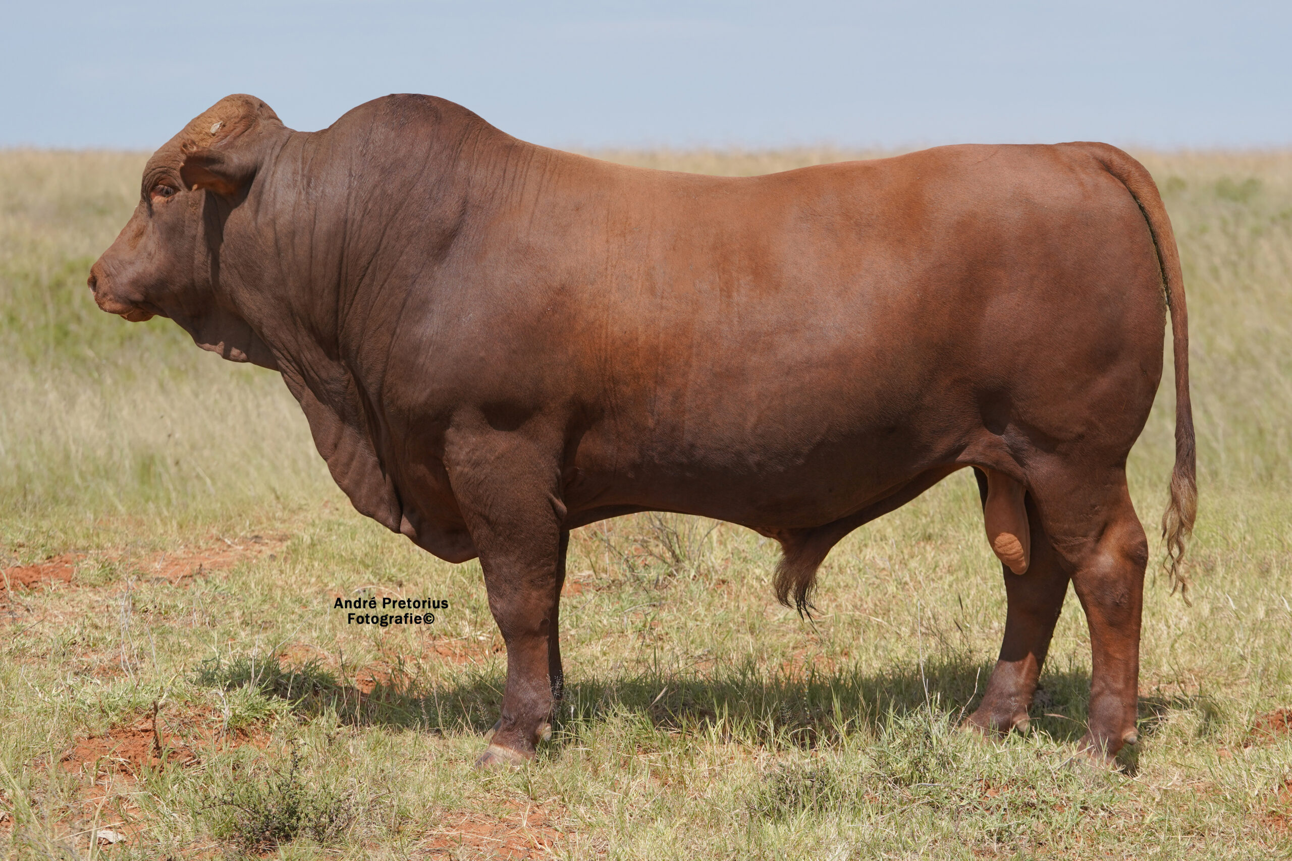 LOT 26: JSM 19-167  ’22