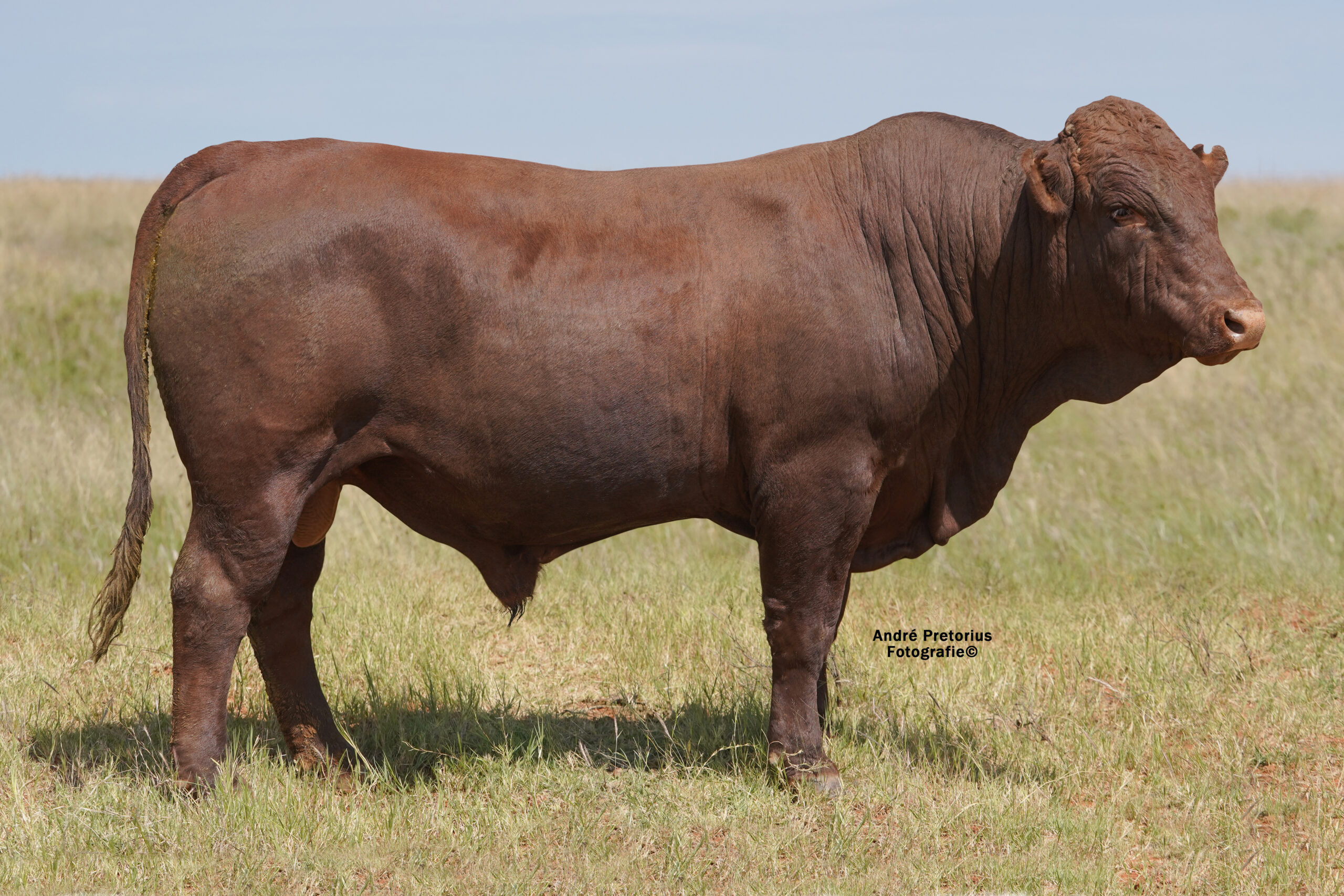 LOT 27: JSM 19-22  ’22