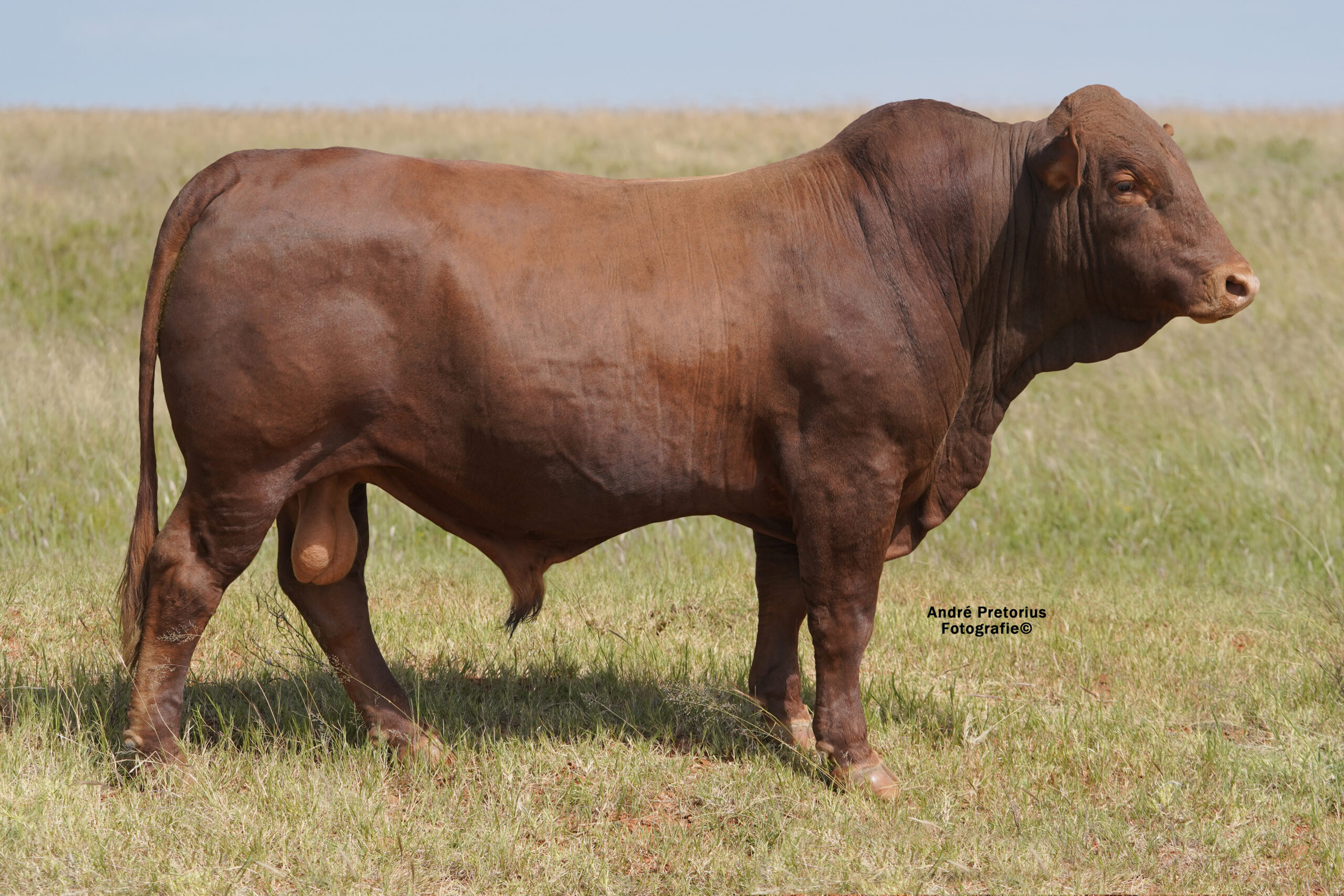 LOT 9: JSM 19-27  ’22