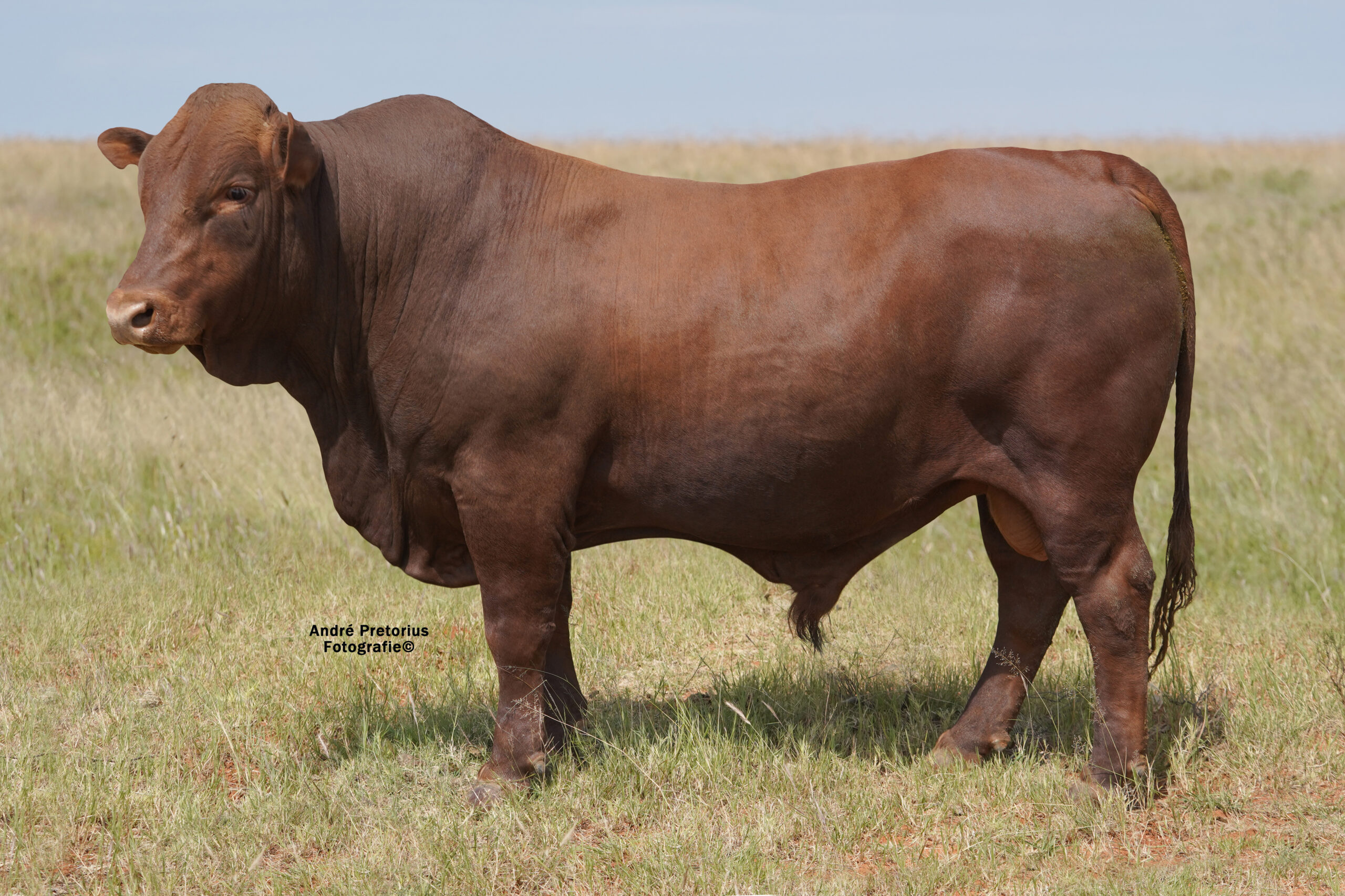 LOT 8: JSM 19-31  ’22