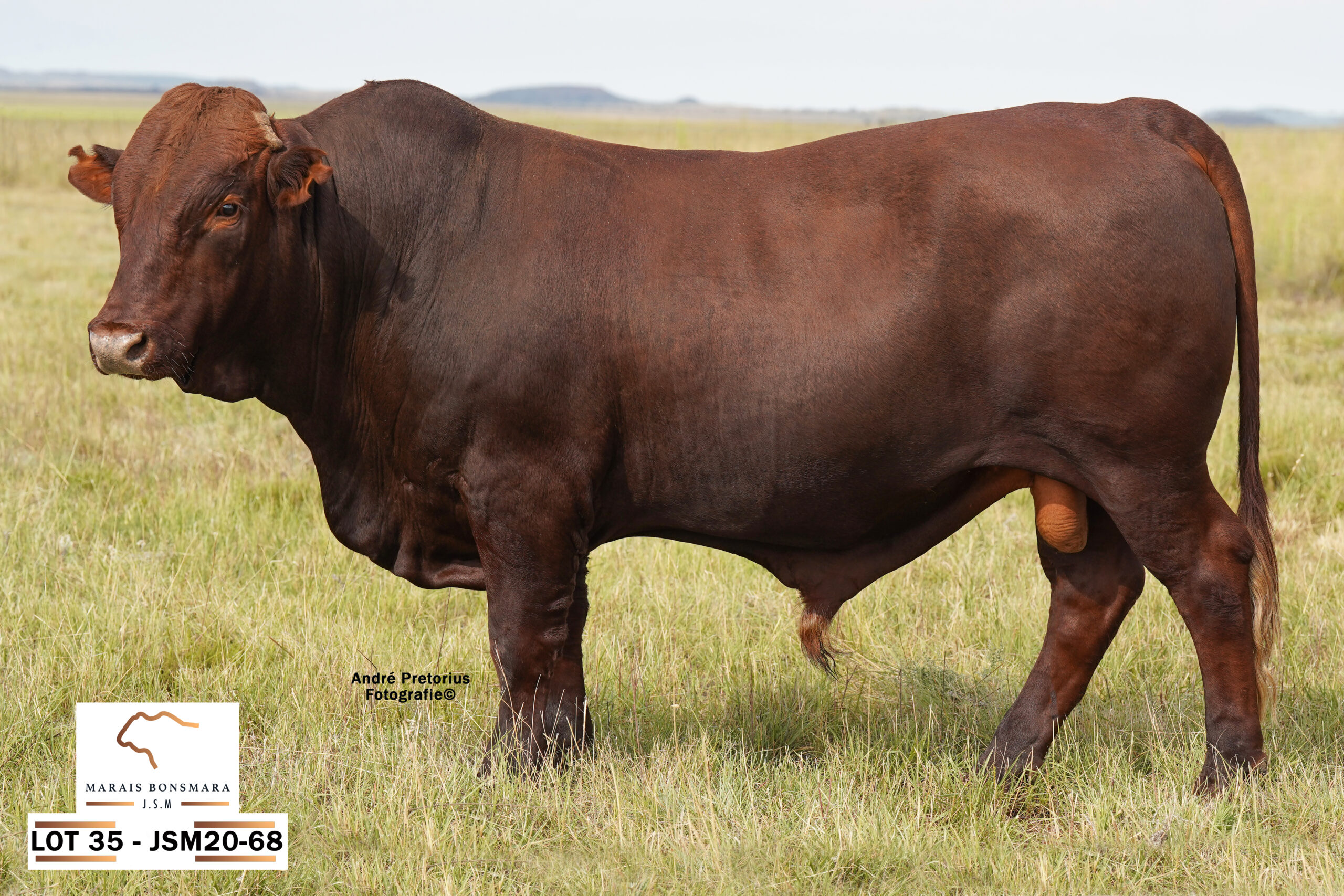 LOT 35 – JSM 20-68